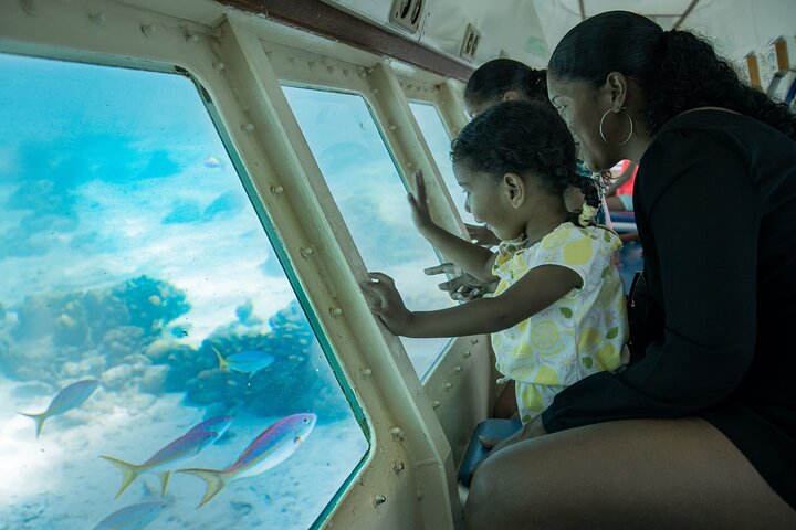 Sea Plane Ride